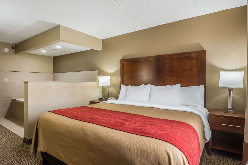 Comfort Inn & Suites Hamilton Place Τσαττανούγκα Δωμάτιο φωτογραφία